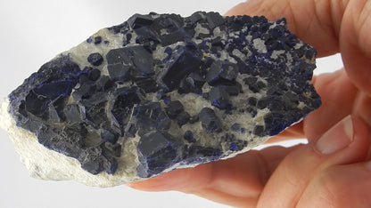 Lazurite on Calcite with Pyrite