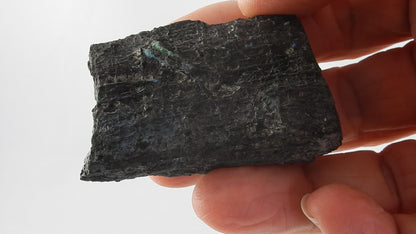 Petrified Wood - Silver RARE