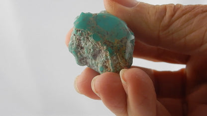 Turquoise - green/blue from Evans Mine USA