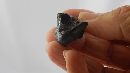 Meteorite Sikhote-Alin, Russia